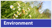 Click here for HTL and the Environment